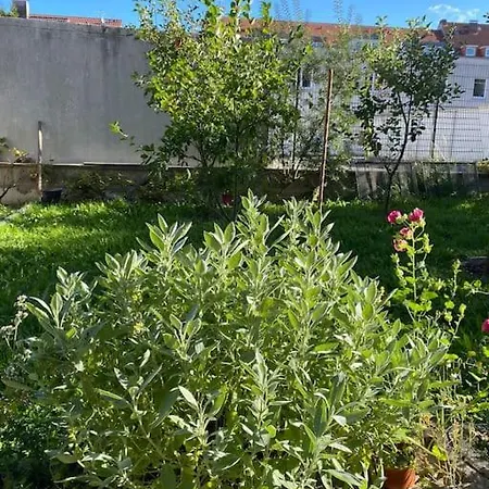 City, 2-zimmer, Kueche, Voll-bad, Balkon *